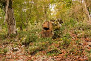 Fototapeta na wymiar Autumn landscape Caucasus