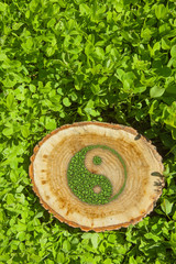 Tree stump on the grass with ying yang symbol.