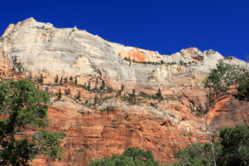 Fototapeta premium Red mountains in Zion National Park, Utah, United States