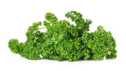 Obraz premium Big Parsley on white background.