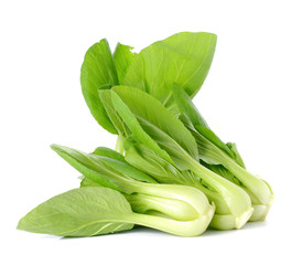 Bok choy on white background.
