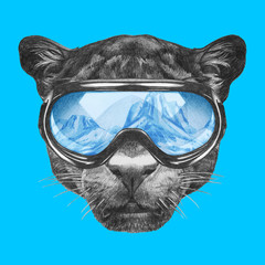 Portrait of Panther with ski goggles. Hand drawn illustration.