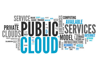 Word Cloud Public Cloud