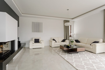 Spacious snobbish living room
