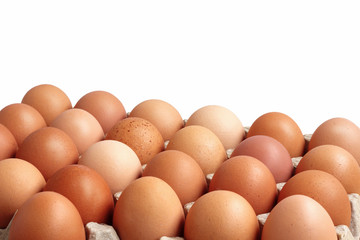 Chicken brown eggs in carton on white background.