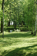 Nature park in Peterhof, Russia