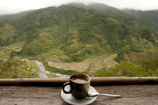 Civet Coffee (Kopi Luwak) - Philippines