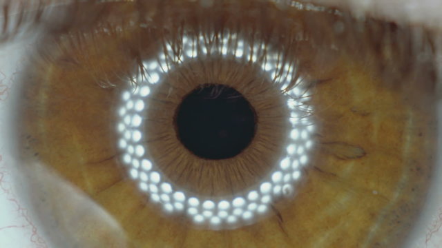 Macro extreme cu eye iris, pupil, contracting, eye light reflection.