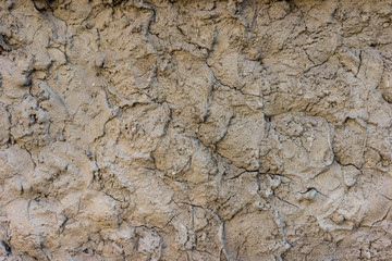 Gray dry mud