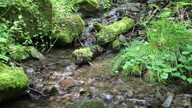 Beautiful small brook and stones with green moss, video with stereo sound
