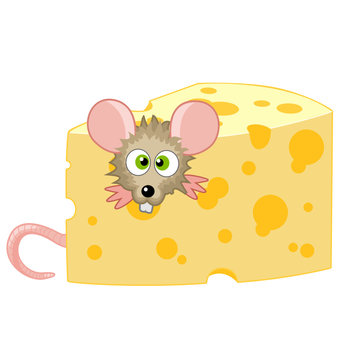 topo nel formaggio