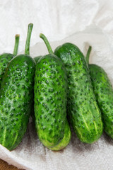 cucumber