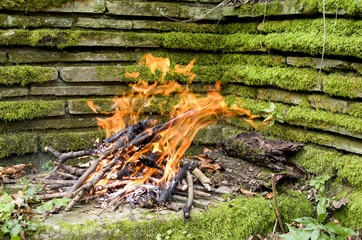 Bonfire closeup in wimdy day