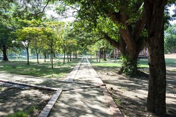 road to the park 