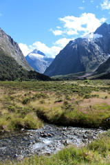 Fototapeta na wymiar Landschaft-Neuseeland