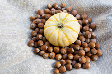 Pumpkin and hazelnuts laid out on a fabric