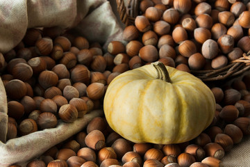 Pumpkin surrounded by a bag and basket full of hazelnuts