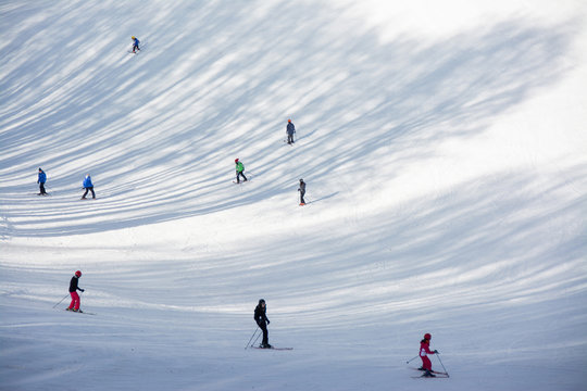 Skiers on the slope of a ski resort