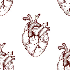 Anatomical heart - vector vintage style detailed illustration, seamless pattern - 96853076