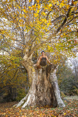 Fototapeta na wymiar Uomo a torso nudo fa ginnastica dentro un albero cavo. Autunno