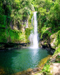 Fototapeta premium Lower step of the Kaiate Falls and the natural pool. Bay of Plenty, New Zealand