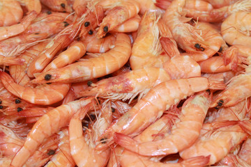 crevettes