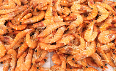 crevettes