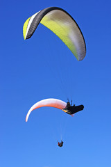 Paragliders