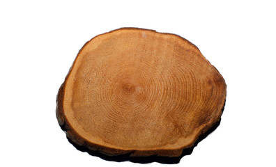 boxwood wooden coasters cup