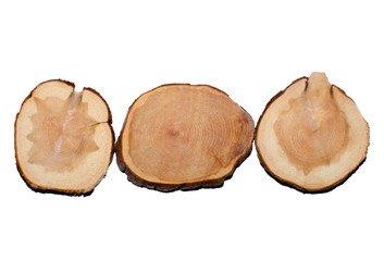 boxwood wooden coasters cup