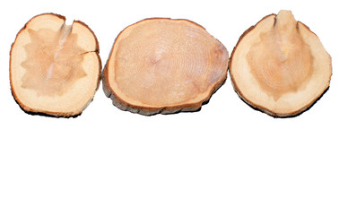 boxwood wooden coasters cup