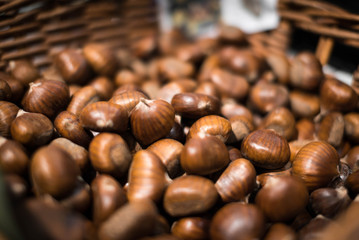 Castagne