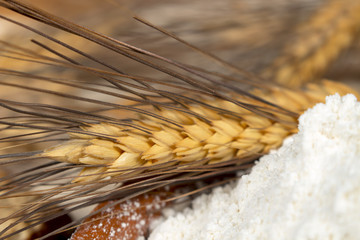 Wheat spike beside a heap of pastry flour made with this kind of cereal. Staple foods.