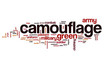 Camouflage word cloud concept