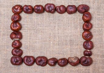 A rectangle of chestnut trees