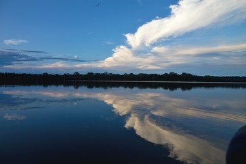 tropical rain forest, Lake Sandoval, Amazonia, Peru