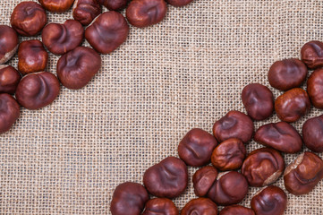 The corners of chestnut