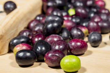 Green olive in front of naturally ripe olives. Preparing seasoned slit olives