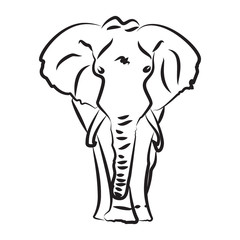 Obraz premium Vector elephant on a white background. The contours of the elephant.