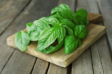 Green fresh basil on wooden background