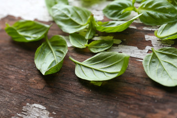 Green fresh basil on wooden background
