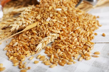 Fototapeten Fresh wheat grains on napkin, closeup © Africa Studio