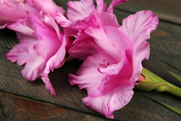 Beautiful gladiolus on wooden background