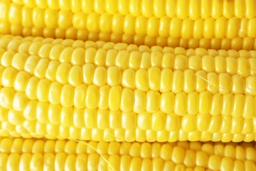 Fresh corn, closeup