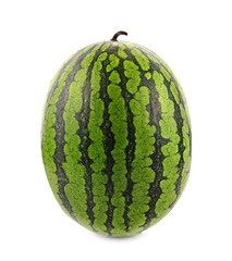 Watermelon green on white background