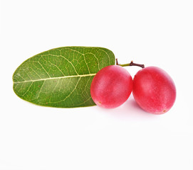 Karanda fruit on white background