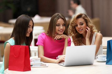 Beautiful young women with laptop in cafe
