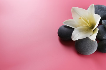 Spa stones with flower on pink background