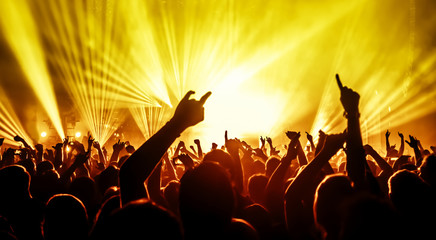 cheering crowd at a rock concert