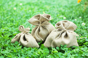 Lot of one hundred dollar bills in bags on grass background